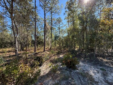 00 Monroe, Dunnellon, FL 34431 - photo 6