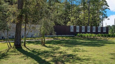 131 Harlequin Duck Ct, Magnolia, TX 77353 - photo 4