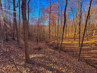 0 Oak Grove Rd, Waverly, WV 26184 - photo 4