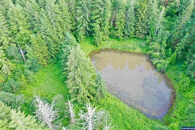 21230 Stone Rd, Sheridan, OR 97378 - photo 7