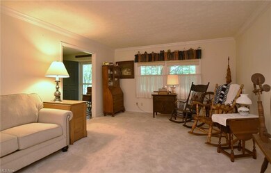 Carpeted living room featuring a wealth of natural