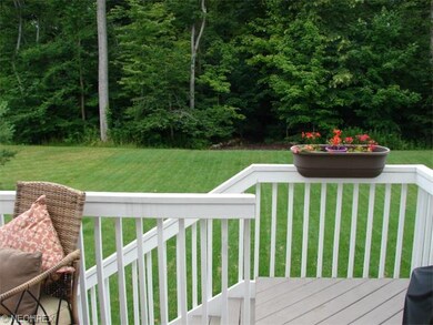 deck to wooded back yard