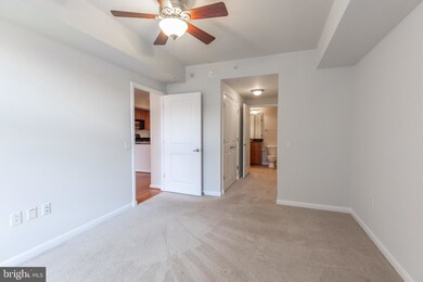 Clarendon 1021 unit 317, Arlington, VA 22201 - photo 6
