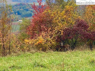 9 Twin Oaks Mountain Blvd, Sparta, NC 28675 - photo 3