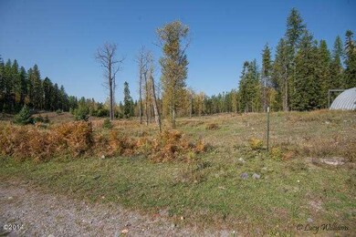 641 Wild Swan Trail, Bigfork, MT 59911 - photo 2