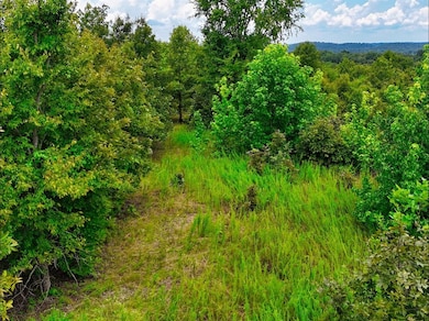 0 Shores Trail unit RTC3000425, Stewart, TN 37175 - photo 6