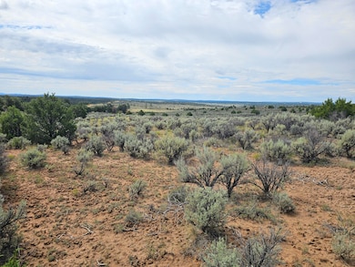 0 Lindrith Nm unit 1069027, Lindrith, NM 87029 - photo 3