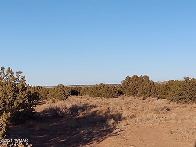 IMG_20210228_173047996
