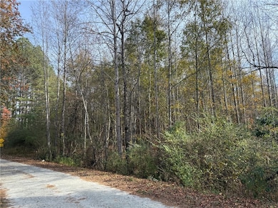 0 Stamp Creek Rd unit 20294851, Salem, SC 29676 - photo 4