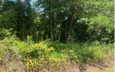 Additional View