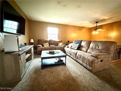 352 N Rhodes Ave, Niles, OH 44446 - photo 3