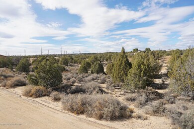 XX Marcy Place, Farmington, NM 87402 - photo 2