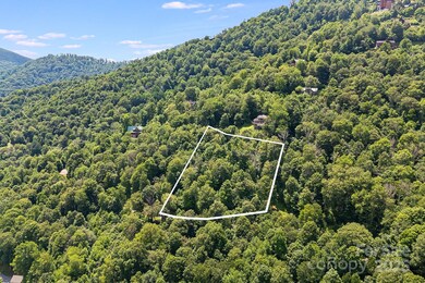 16 Mountain Gait Dr unit 16, Mars Hill, NC 28754 - photo 6