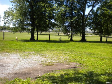 1208 W Raymond St, Harrisburg, IL 62946 - photo 5