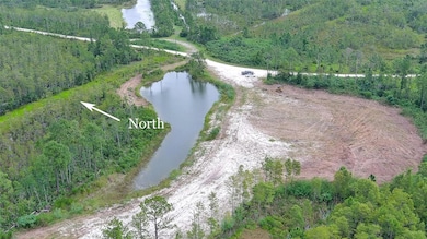 4706 Omega Ranch Rd, New Smyrna Beach, FL 32168 - photo 6