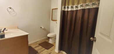 1st Master Bathroom