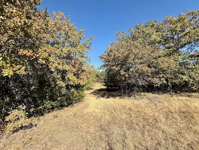 Big Tree Rd, Montague, TX 76251 - photo 3