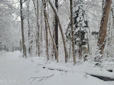 unlisted-address, Readsboro, VT 05350 - photo 7