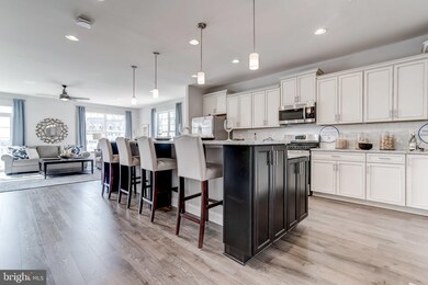 2613 Day Lily Rd, Gambrills, MD 21054 - photo 6