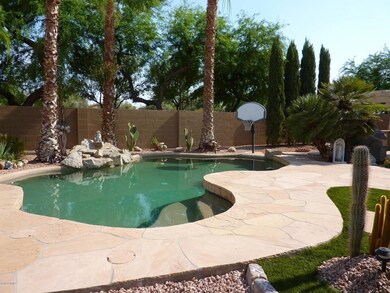 Cool back yard with pool