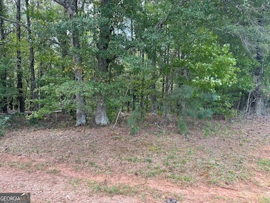 0 Teasley Trail unit 10600969, Moreland, GA 30259 - photo 6