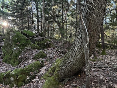 M6L43 Biscay Rd, Medomak, ME 04551 - photo 6