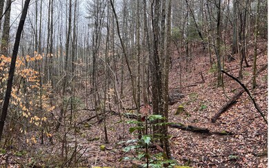 0 Hancock Dr unit 323119, Ellijay, GA 30540 - photo 4