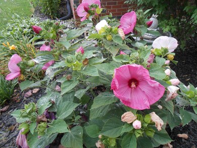 205 Cloverdale Rd, Shelbyville, TN 37160 - photo 6