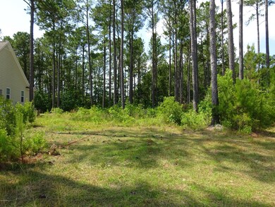 203 Canaan Ct, Jacksonville, NC 28546 - photo 5