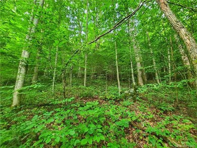 9999 Fox Creek Rd unit 13, Mars Hill, NC 28754 - photo 3