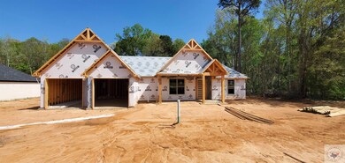 1052 Brown Dr, Wake Village, TX 75501 - photo 6