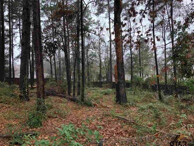 2649 Westminster Dr, Tyler, TX 75701 - photo 2