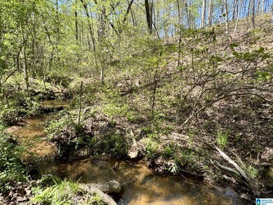 Tract 4 County Road 268 unit 4, Roanoke, AL 36274 - photo 5