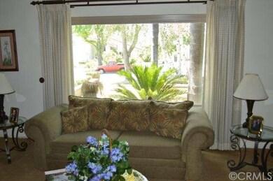 Gorgeous large picture window.