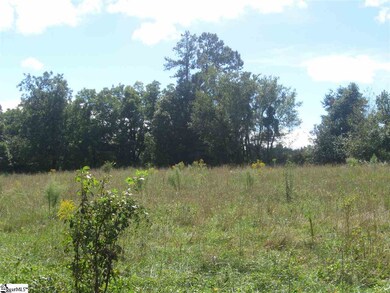 1245 New McElhaney Rd unit 10063 Old White Hors, Travelers Rest, SC 29690 - photo 4