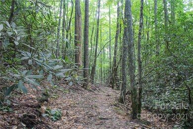 000 Fiver Ln, Hendersonville, NC 28792 - photo 5