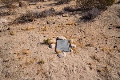 6981 Alturas Dr, Joshua Tree, CA 92252 - photo 6