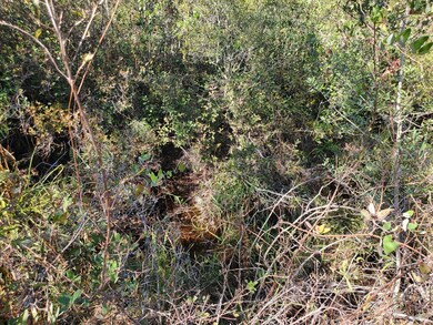 0 SW Brown Rd, Lee, FL 32059 - photo 7