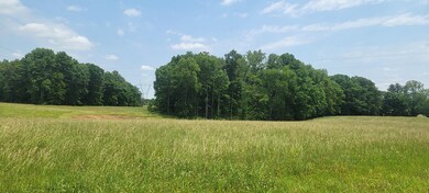 0 Dorsch Rd unit RTC2658840, Manchester, TN 37355 - photo 3