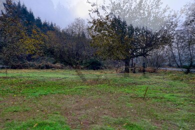 Land & Fruit Trees