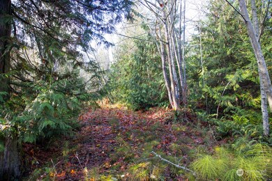 702 Chelsamish Dr, Sequim, WA 98382 - photo 5