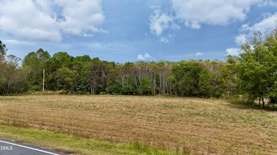 Lot 1 Joe Collins Rd, Lillington, NC 27546 - photo 2