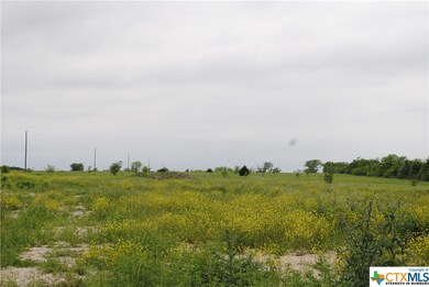 7548 Old Hwy 81, Temple, TX 76501 - photo 5