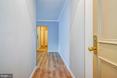 11323 Commonwealth Dr unit 101, Rockville, MD 20852 - photo 6