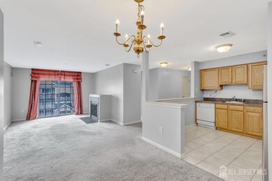 1233 Dogwood Ct unit 1233, New Brunswick, NJ 08901 - photo 4