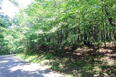 48 Shenandoah Rd unit 48, Lake Lure, NC 28746 - photo 7