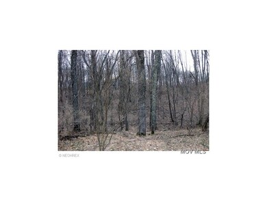Woods