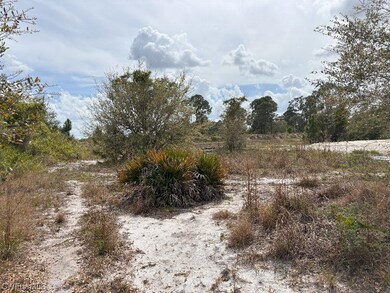 1132 Bermar St, Lehigh Acres, FL 33913 - photo 5