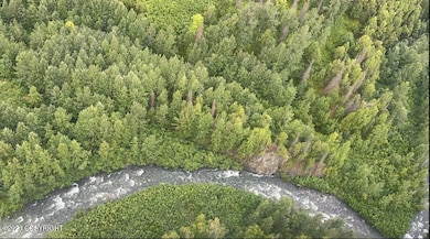 000 McWilliams-gold Creek Trail, Talkeetna, AK 99676 - photo 3