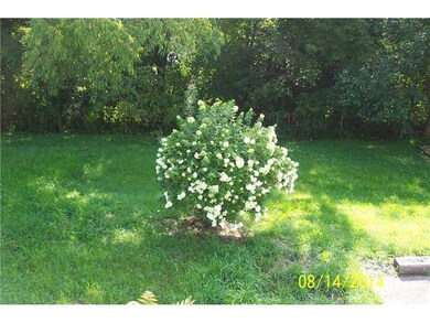 Yard/Garden.